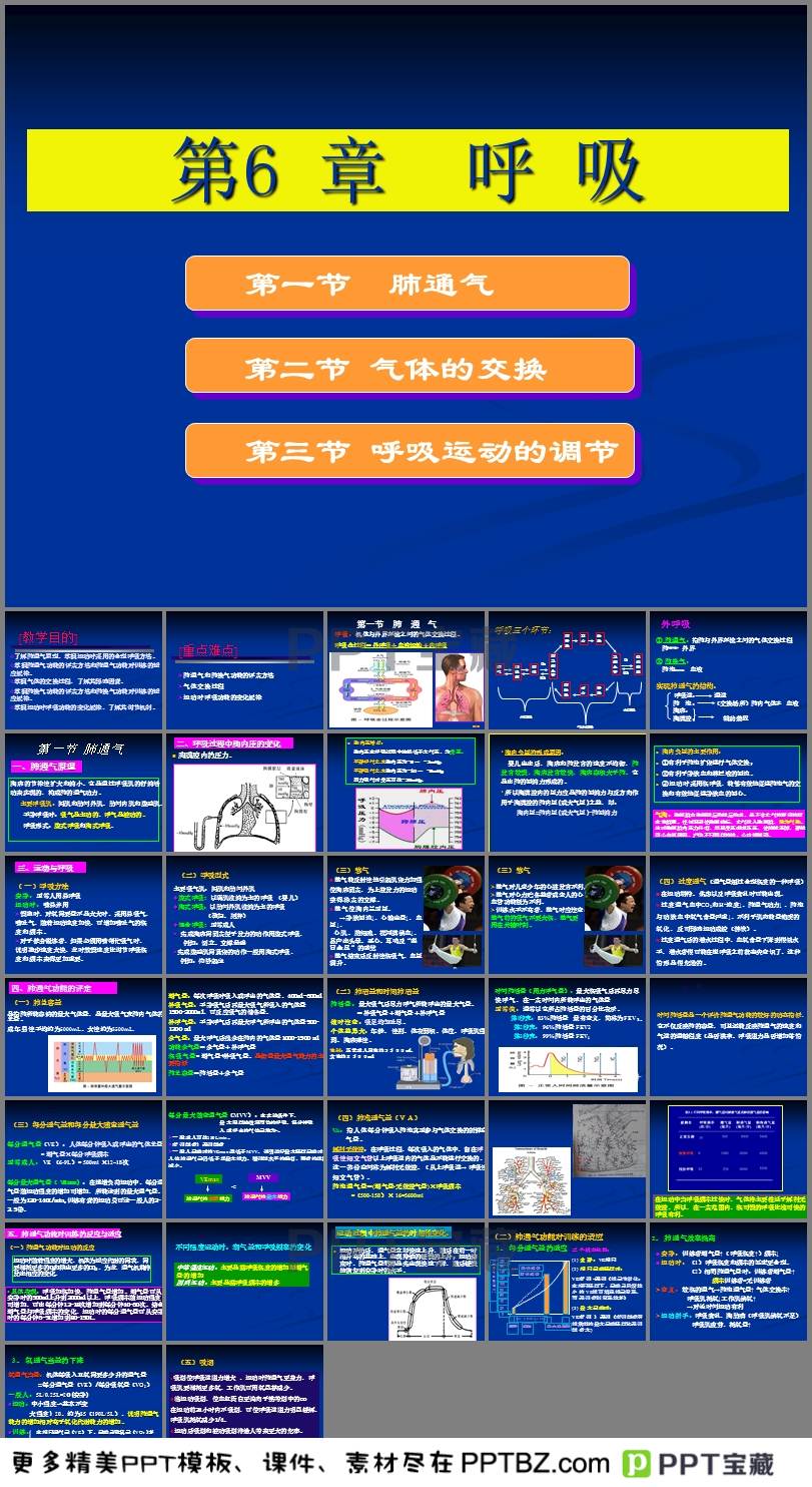 呼吸免费下载，解锁数字化时代音乐之门的密钥